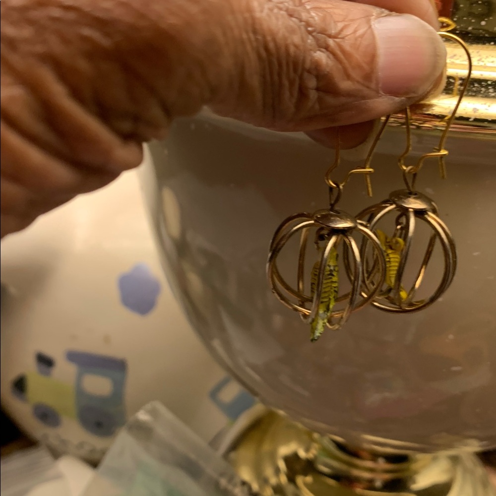Gold Tone & Bird In Cage Earrings